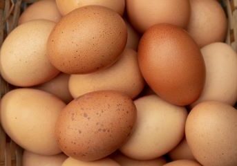 a-basket-of-eggs